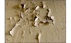 Lead and Lead Based Paint Testing Services