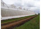 Greenhouses Plastic Films