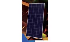 Dahai - Model DHP72 - Polycrtstalline PV Module