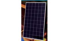 Dahai - Model DHP60 - Polycrtstalline PV Module