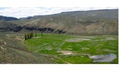 Ecological Services
