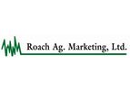 Consulting Services