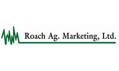 Consulting Services
