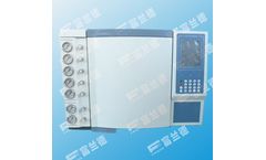 Model FGC-1930 - Special Gas Chromatograph for the Determination of Methyl Tert-Butyl Ether (MTBE)