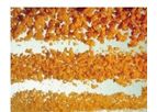 Nutrameta Enhance - Fish Larvae Weaning Diet Feed