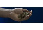 Nireus Micro Line - Fish Feeds