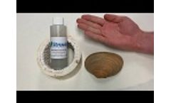 Dissolving Sea Shell (Calcium Carbonate) in Hand Demo with Struvite and Scale Remover STSR