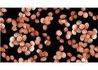 Levabon Rumen - Model E - Yeast Cattle Feed Supplement