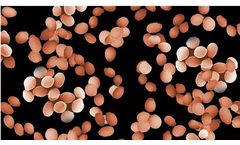 Levabon Rumen - Model E - Yeast Cattle Feed Supplement