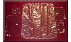 Dyneon - Film 5 mil Sampling Bags