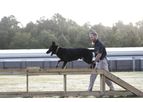K9 Detection Training for Comprehensive Detection and Deterrence Security Programs