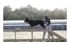K9 Detection Training for Comprehensive Detection and Deterrence Security Programs
