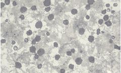 ACTech - Spheroidal Graphite Cast Iron