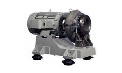 Buffalo - Navy and Marine Duty Pumps