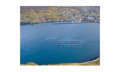 ADDCON - Model AQUAFORM - Antibiotic-Free Growth Promoter for Sustainable Aquaculture
