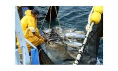 ADDCON Ensilox - Fish Protein Concentrate (FPC) for Better Fish Silage