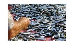 ADDCON FishForm - Model Plus - Fish Meal and Fish Oil