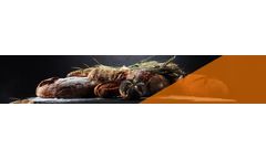 Addcon - Model KTP - Liquid Preservative for Reduced Sodium Baking Powder Products