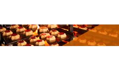 Addcon - Model ABC (E503ii) - Food Additives