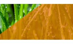 Kofasil - Model DUO - Optimize Silage Preservation with KOFASIL DUO Lactic Acid Bacteria