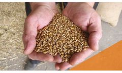 Kofa Grain - Model pH 5 - Novel Preservative Containing Sodium Benzoate