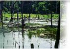 Wetlands Services