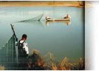 Aquatic Ecology Services
