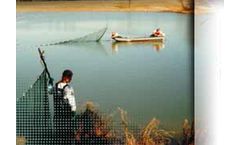 Aquatic Ecology Services