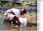 Terrestrial Ecology Services
