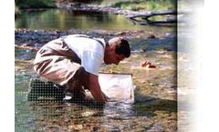 Terrestrial Ecology Services