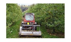 Model UML/LOW - Forestry Mulchers