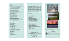 Remediation Services
