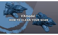 How to Clean a Scan in Creaform VXmodel - Video