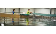 Land-Based Fish Farming