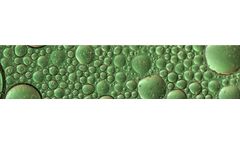 Biological - Biomethane Fuel