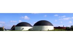 Biological - Engineering Service