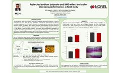 Protected Sodium Butyrate and BMD Effect on Broiler Chickens Performance, a Field Study - Brochure