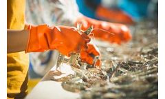 Actipal - Natural and Sustainable Marine Protein Hydrolysates for Industrial Excellence