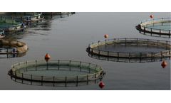 Symrise-Aqua - Hydrolysis Process Technologies