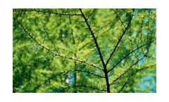 Environmental Consulting Services