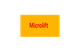 Zhejiang Microlift Electric Technolgy Co., Ltd.