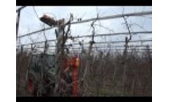 FL200P Video