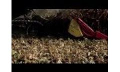 Capello - QUASAR Video