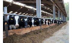 Alltech - Model Sel-Plex - Selenium Yeast for Livestock Health