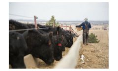 Alltech - Feed Efficiency Program Supports Services