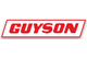 Guyson Corporation