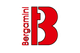 Torneria Bergamini SNC