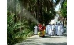 Tifone Crawler Date Palm Trees Video