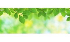 Strategic Environmental Management