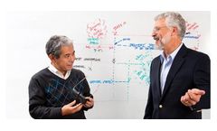 Consulting & Planning Services